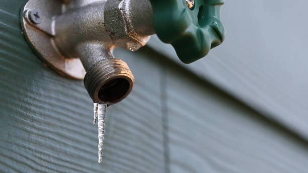 Best Clogged Drain Plumber  in Hornsby Bend, TX