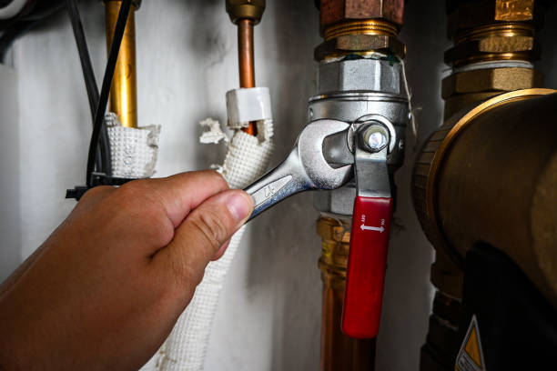 Best Affordable Plumber Near Me  in Hornsby Bend, TX